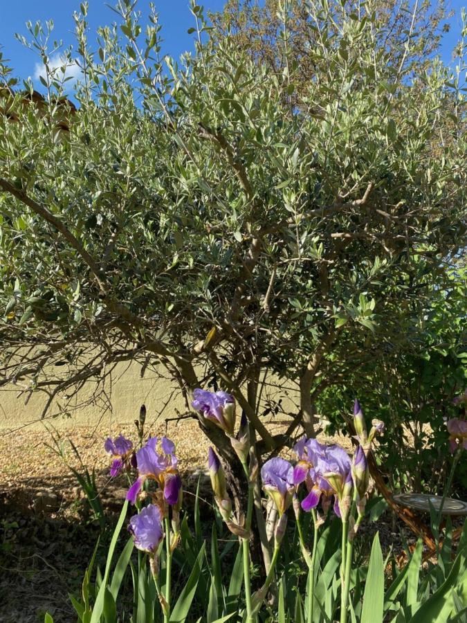 L'Eveil En Provence Bed & Breakfast Entrecasteaux Exterior photo